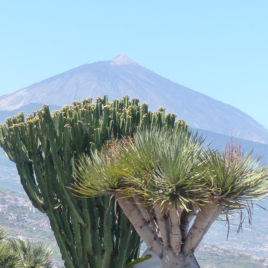 Baby equipment hire in tenerife, canary islands