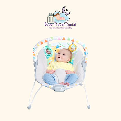 Alquiler hamaca mecedora bebé reclinable 0-9 kg en Tenerife