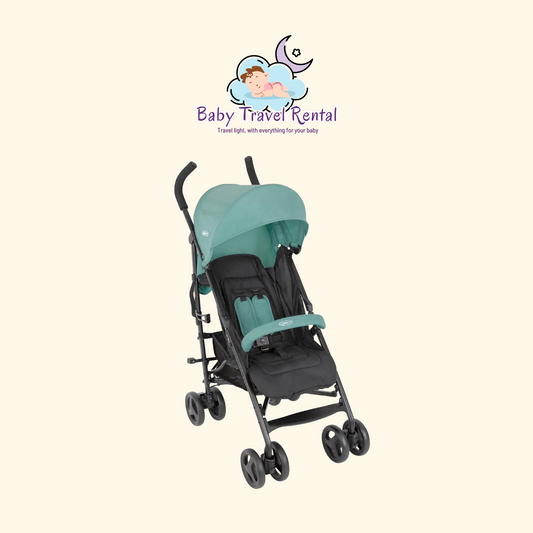 Stroller type cane