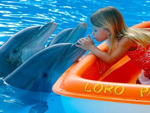Traveling to Tenerife with children | baby travel rental